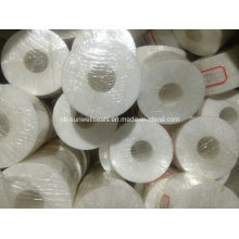 100% reine PTFE-Teflon-Dichtung